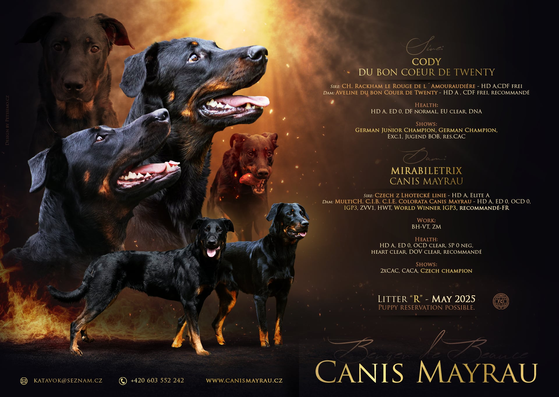 Vrh R Canis Mayrau