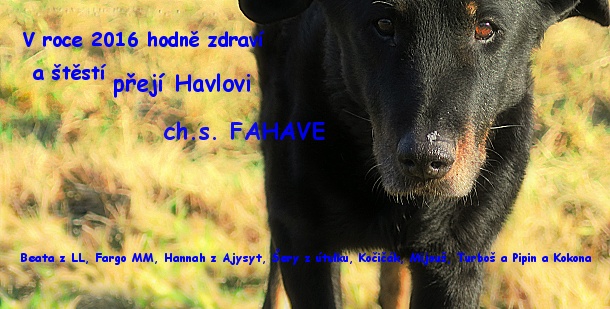 PF Havlovu